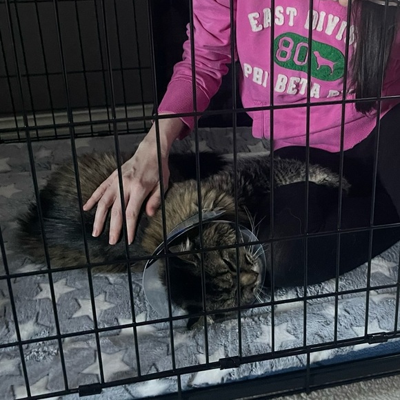 Lululemon Hoodie with Ponytail Hole - Picture 6 of 11